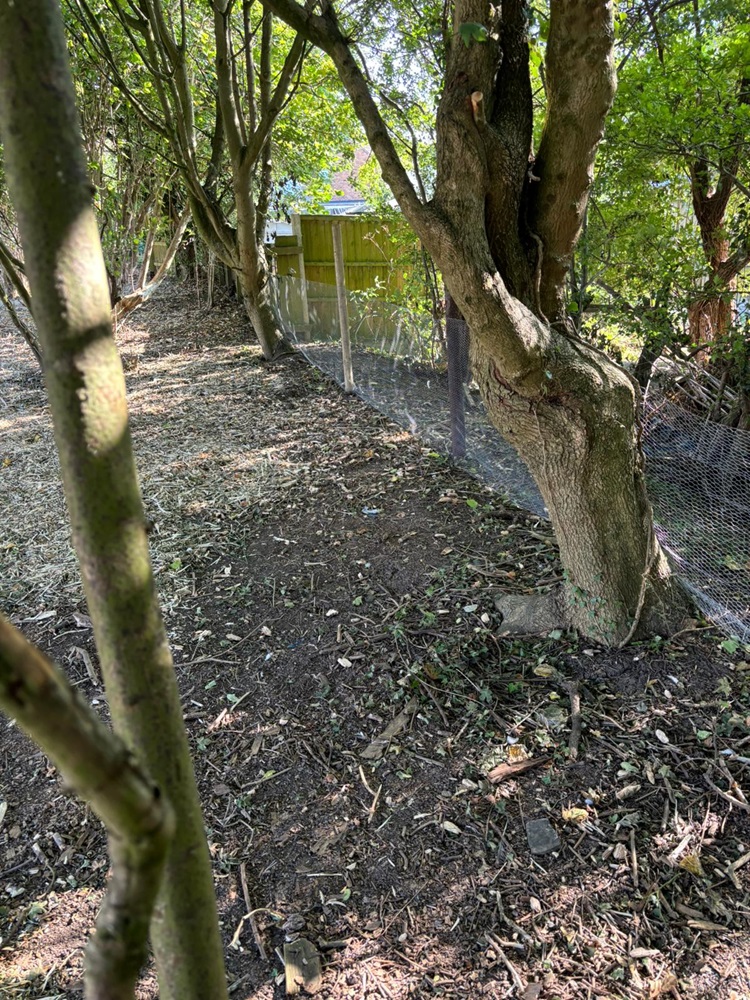 one of the new nature walk ways